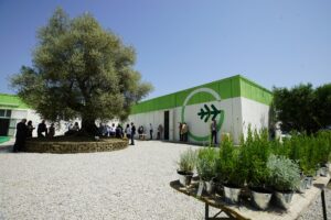 Progetto di fusione per incorporazione di Gea